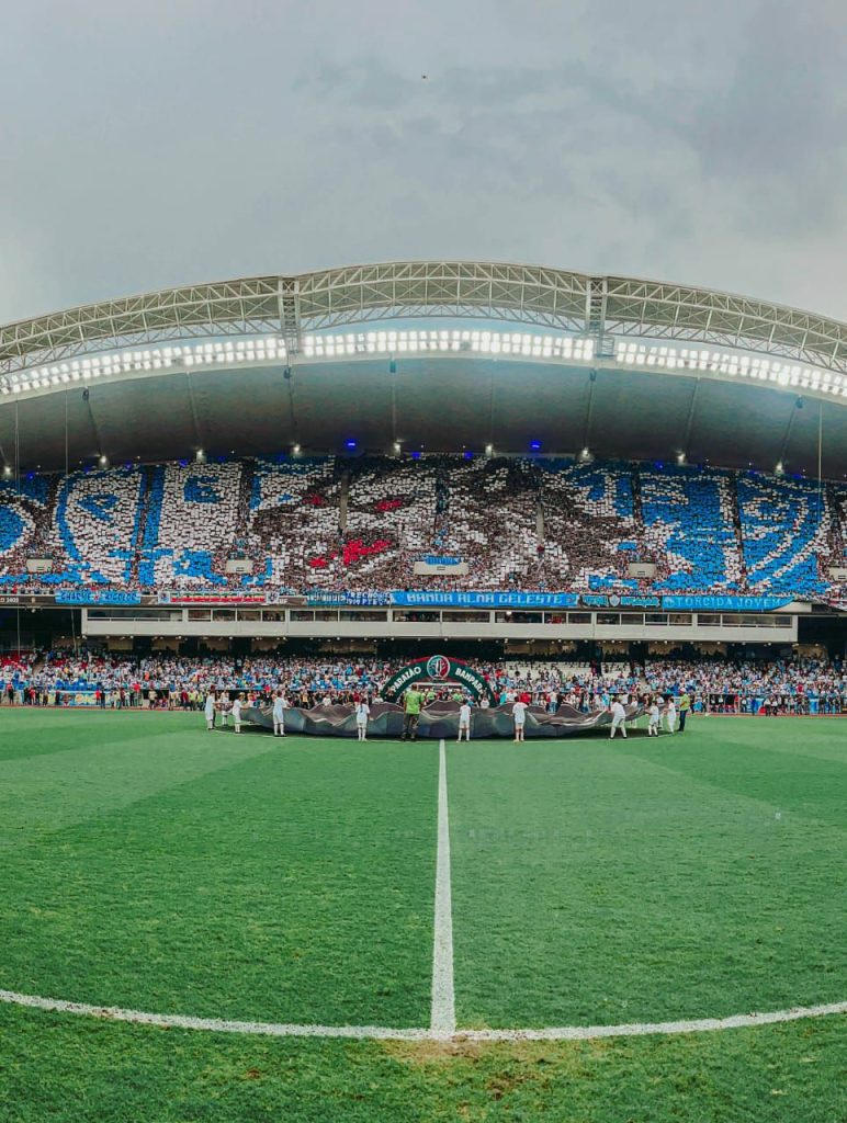 re – pa 2025 Re-Pa 2025 torcida do paysandu fazendo a festa